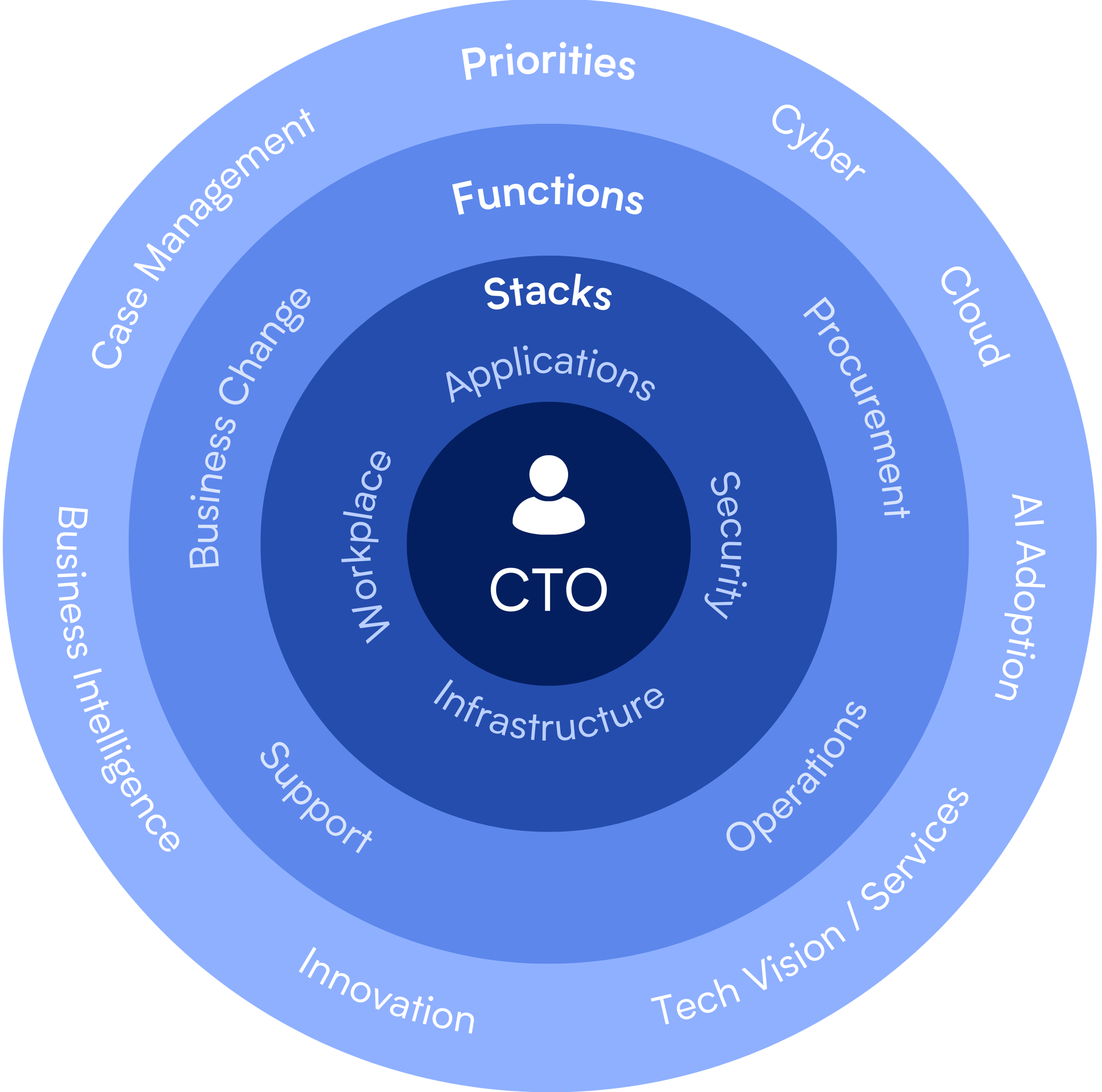 CTO Advisory Services